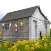 Gurnet Shed With Yarrow