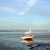 Sailboat At Low Tide  WB