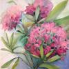 Rhododendrons